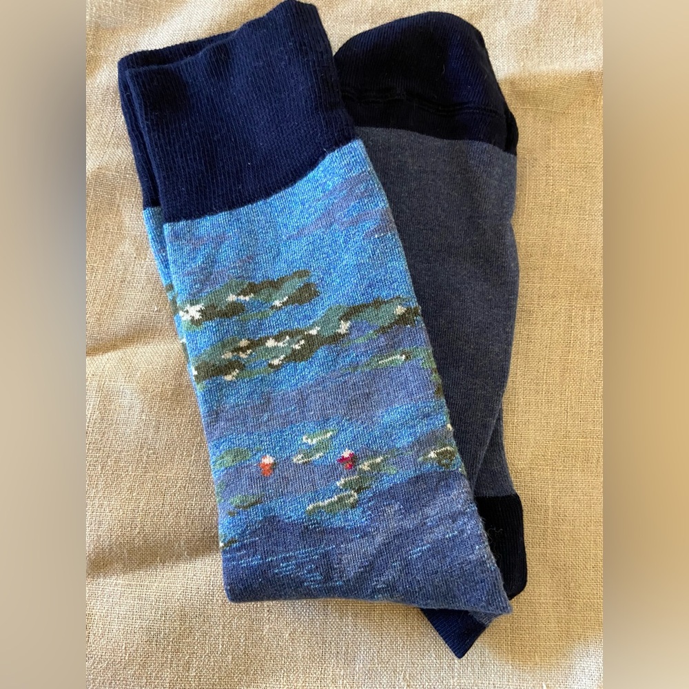 Art Institute of Chicago - Monet Water Lilies Socks